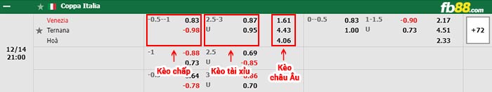 fb88-bảng kèo trận đấu Venezia vs Ternana
