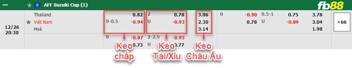 Fb88 bảng kèo trận đấu Việt Nam vs Thái Lan