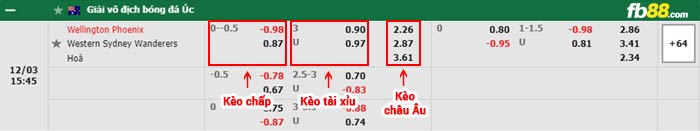 fb88-bảng kèo trận đấu Wellington Phoenix vs Western Sydney