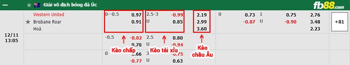 fb88-bảng kèo trận đấu Western United vs Brisbane Roar
