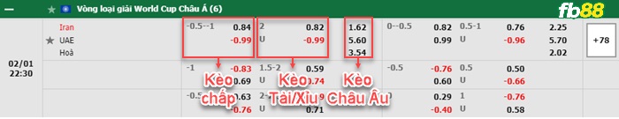 Fb88 bảng kèo trận đấu Iran-vs-UAE