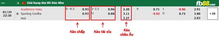 fb88-bảng kèo trận đấu Academico Viseu vs Covilha