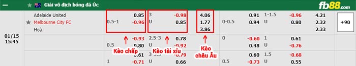 fb88-bảng kèo trận đấu Adelaide vs Melbourne City