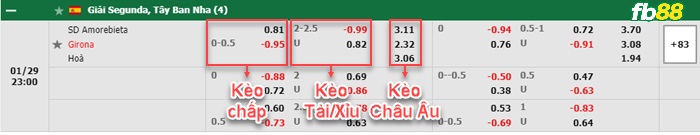 Fb88 bảng kèo trận đấu Amorebieta vs Girona