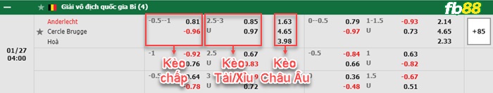 Fb88 bảng kèo trận đấu Anderlecht vs Cercle Brugge