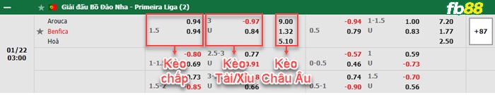 Fb88 bảng kèo trận đấu Arouca vs Benfica