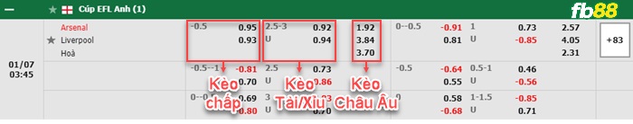 Fb88 bảng kèo trận đấu Arsenal vs Liverpool