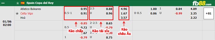 fb88-bảng kèo trận đấu Atletico Baleares vs Celta Vigo