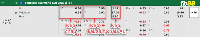 Fb88 bảng kèo trận đấu Australia vs Việt Nam