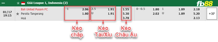 Fb88 bảng kèo trận đấu Bali United vs Persita Tangerang