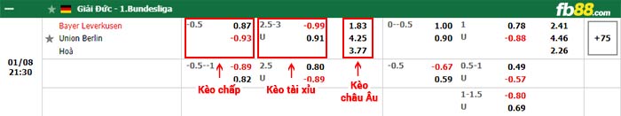 fb88-bảng kèo trận đấu Bayer Leverkusen vs Union Berlin