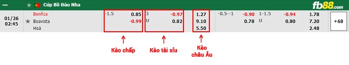 fb88-bảng kèo trận đấu Benfica vs Boavista
