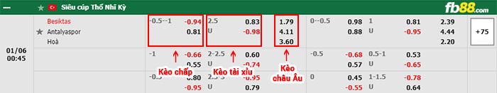 fb88-bảng kèo trận đấu Besiktas vs Antalyaspor