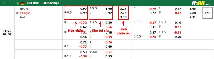 fb88-bảng kèo trận đấu Bochum vs Koln