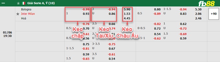 Fb88 bảng kèo trận đấu Bologna vs Inter Milan