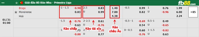 fb88-bảng kèo trận đấu Braga vs Moreirense