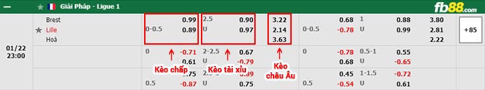 fb88-bảng kèo trận đấu Brest vs Lille