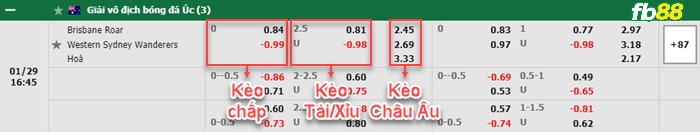 Fb88 bảng kèo trận đấu Brisbane Roar vs Western Sydney