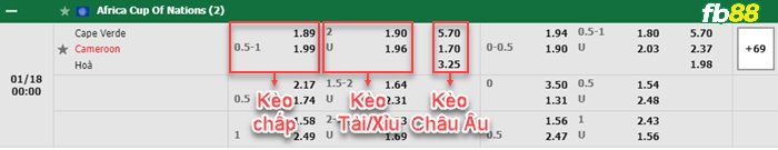 Fb88 bảng kèo trận đấu Cape Verde vs Cameroon