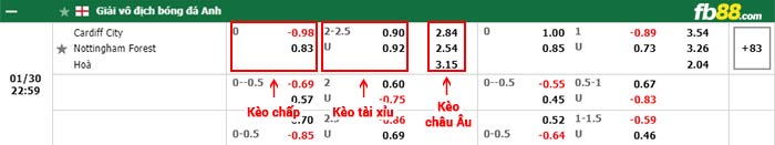 fb88-bảng kèo trận đấu Cardiff City vs Nottingham Forest
