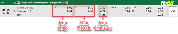 Fb88 bảng kèo trận đấu Cardiff U23 vs Swansea City U23