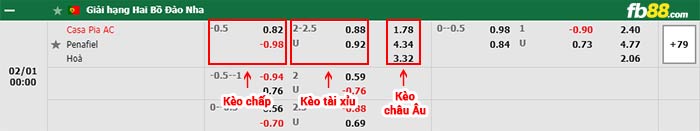 fb88-bảng kèo trận đấu Casa Pia vs FC Penafiel