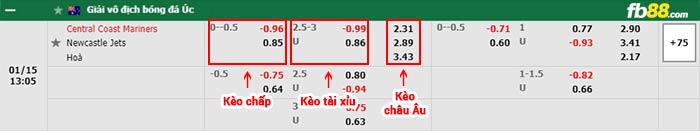fb88-bảng kèo trận đấu Central Coast vs Newcastle Jets