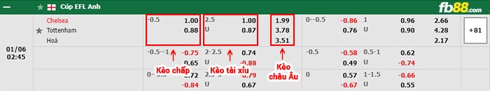 fb88-bảng kèo trận đấu Chelsea vs Tottenham