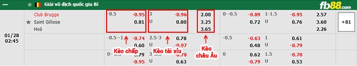 fb88-bảng kèo trận đấu Club Brugge vs St. Gilloise