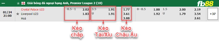 Fb88 bảng kèo trận đấu Crystal Palace U23 vs Liverpool U23