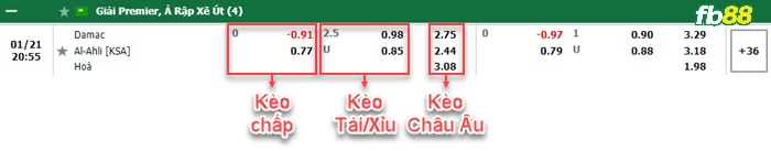 Fb88 bảng kèo trận đấu Dhamk vs Al-Ahli Saudi