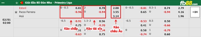 fb88-bảng kèo trận đấu Estoril Praia vs Pacos Ferreira