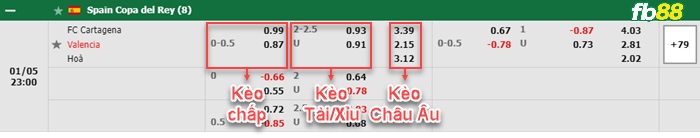 Fb88 bảng kèo trận đấu FC Cartagena vs Valencia