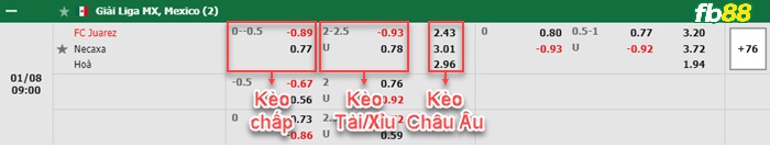 Fb88 bảng kèo trận đấu FC Juarez vs Club Necaxa