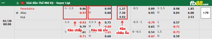 fb88-bảng kèo trận đấu Fenerbahce vs Altay