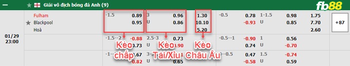 Fb88 bảng kèo trận đấu Fulham vs Blackpool