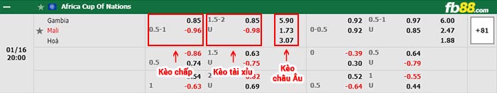 fb88-bảng kèo trận đấu Gambia vs Mali
