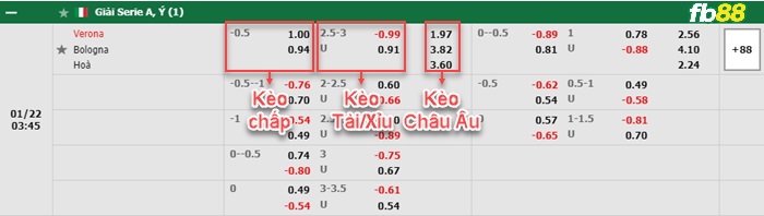 Fb88 bảng kèo trận đấu Hellas Verona vs Bologna