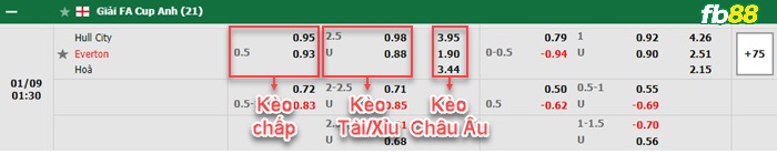 Fb88 bảng kèo trận đấu Hull City vs Everton