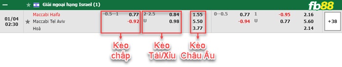 Fb88 bảng kèo trận đấu Maccabi Haifa vs Maccabi Tel Aviv