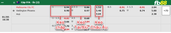Fb88 bảng kèo trận đấu Melbourne City vs Wellington Phoenix