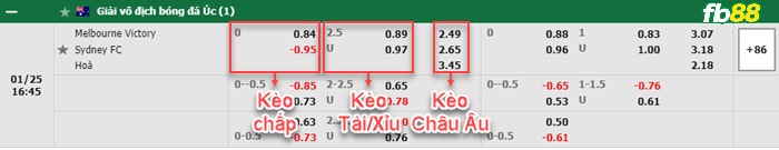 Fb88 bảng kèo trận đấu Melbourne Victory vs Sydney FC