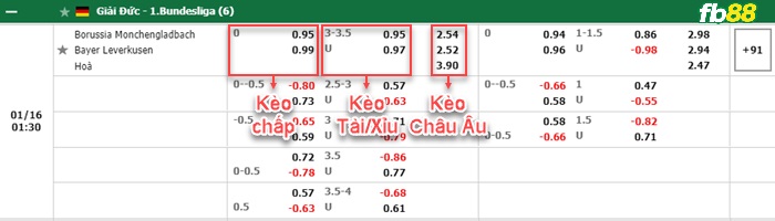 Fb88 bảng kèo trận đấu Monchengladbach vs Leverkusen