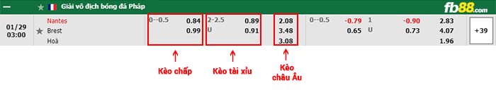 fb88-bảng kèo trận đấu Nantes vs Brest