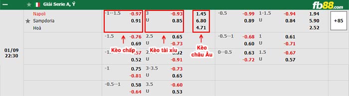 fb88-bảng kèo trận đấu Napoli vs Sampdoria