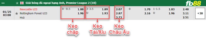 Fb88 bảng kèo trận đấu Newcastle U23 vs Nottingham Forest U23