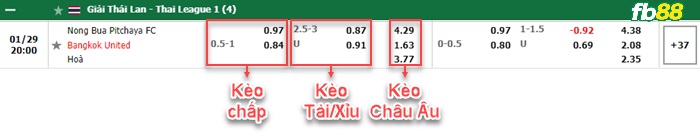 Fb88 bảng kèo trận đấu Nong Bua Pitchaya vs Bangkok United