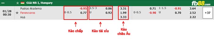 fb88-bảng kèo trận đấu Puskas Akademia vs Ferencvarosi