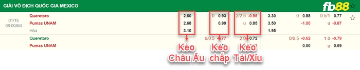 Fb88 bảng kèo trận đấu Queretaro vs Pumas UNAM