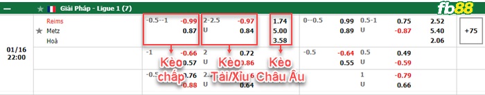 Fb88 bảng kèo trận đấu Salernitana vs Lazio